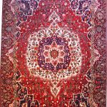Amazing 684 Bakhtiari rugs - This Traditional rug is approx imately 10 feet 1 red persian rug
