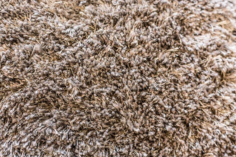 Beautiful Versaile shag pile carpet