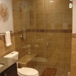 Chic Decoration Wonderful Bathroom With Design Frameless Glass And Be Equipped  Brown small bathroom shower designs