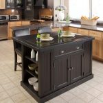 Contemporary Amusing Portable Kitchen Islands For Small Kitchens Pictures Inspiration portable kitchen islands for small kitchens