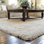 Contemporary Living room Perfect living room carpet ideas Living Room Carpet carpet for living room