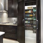 Cool Doors that match the cabinetry. pantry cabinets with doors