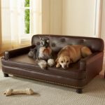 Cozy Enchanted Home Pet Library Sofa Dog Bed dog bed furniture