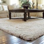 Images of Tips for Decorating Home with Rugs. Cozy Living RoomsLiving Room IdeasWhite Area soft area rugs for living room