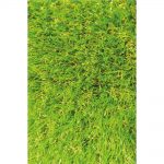 Luxury Ottomanson Garden Grass Green Indoor/Outdoor Area Rug grass area rug