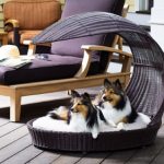 Photos of Outdoor Dog Bed Chaise Lounger luxury dog bed furniture