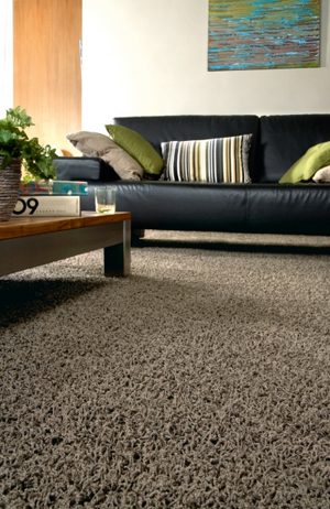 Popular Shag Pile carpets shag pile carpet
