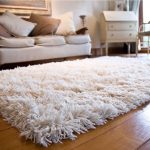 Chic 12 Ways to Stay Warm During Winter Without Burning Cash. Shag CarpetWool white shag carpet