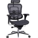 ergonomic office chairs eurotech me7erg ergohuman mesh ergonomic chair w/ headrest. view office MGMPXXD
