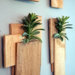 wall decoration ideas succulent planters. wood planks and succulents as wall decor DVCUAFU