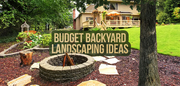 10 Ideas for Backyard Landscaping on a Budget | Budget Dumpster
