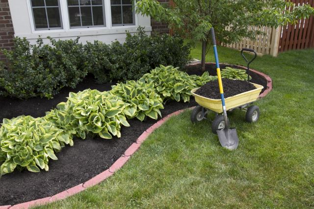 40 Awesome and Cheap Landscaping Ideas: #27 is Too Easy!