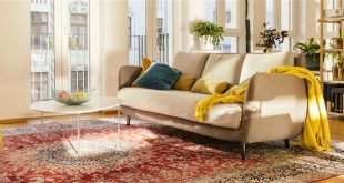 Living room area with Persian rug