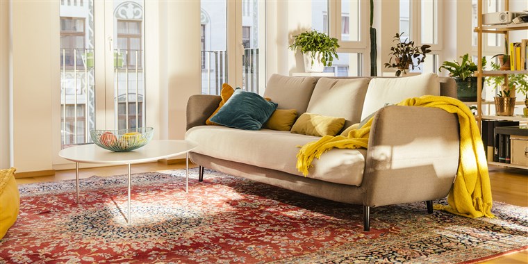 Living room area with Persian rug