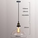 WINSOON 11 X 10 Inch Vintage Industrial Ceiling Lamp Clear Glass