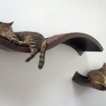 Amazing Wall Mounted Cat Bed Ideas Best Home Decorations Magazine  | Cats  do as they do | Pinterest | Cat wall shelves, Cats and Cat shelves