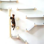 decoration: Wall Shelves Design For Cats To Climb Cat Diy Pinterest
