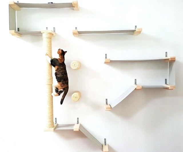 decoration: Wall Shelves Design For Cats To Climb Cat Diy Pinterest