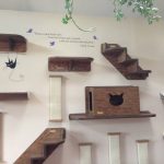 Classic Family Room Area with Wooden Steps Cage Cat Wall Shelves, Black Cat  Stencil Wall Decal, and Black Quotes Style Decoration - . Cat Wall Shelves