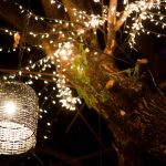 7 Gorgeous Decorative Outdoor Lighting Ideas for your MA Landscape