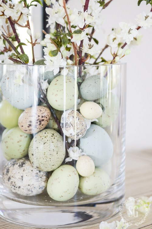 Speckled Eggs and Apple Blossoms