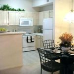 Small Apartment Kitchen Decor Apartment Kitchen Ideas Marvellous