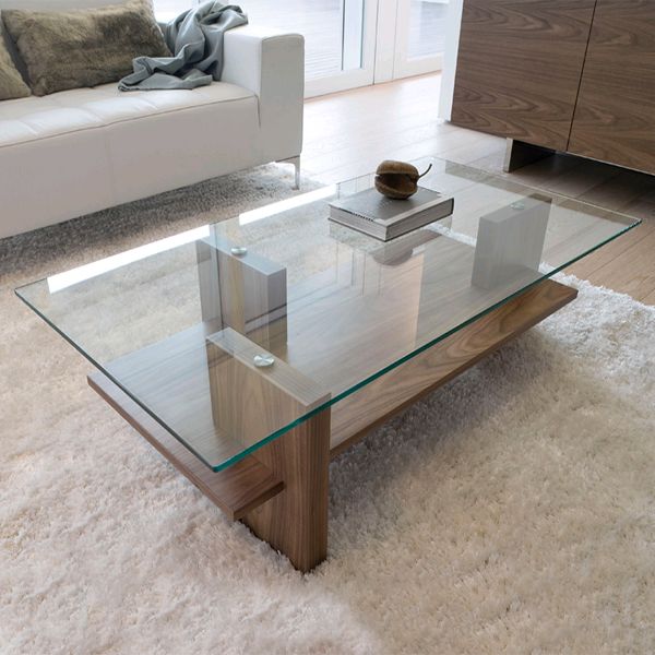 Elegant functional ideas for modern
  glass  and wood coffee table