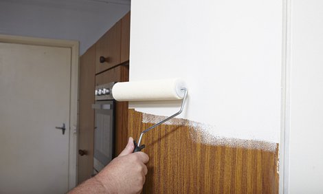 Roller paint laminate cabinet with primer