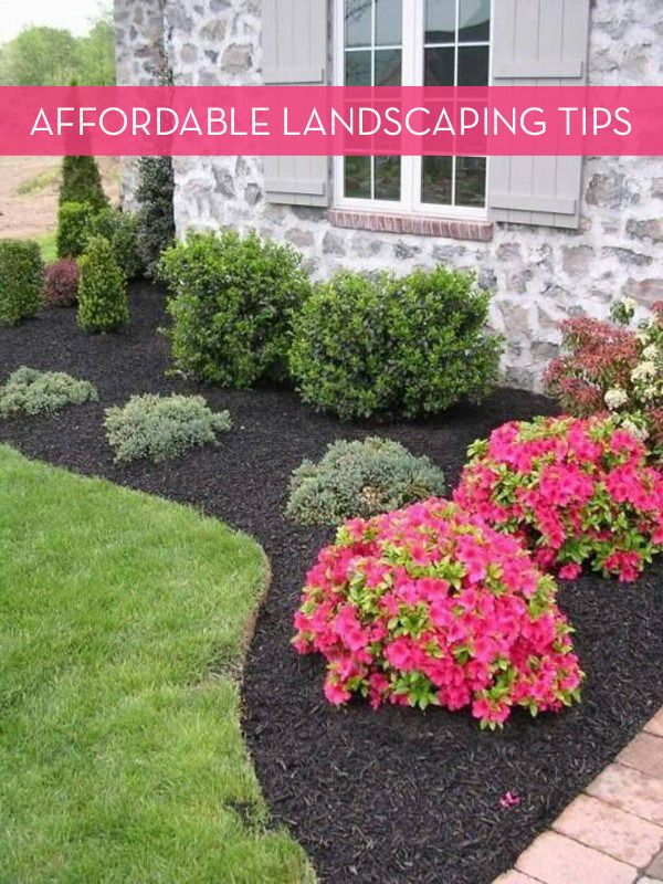 13 Tips For Landscaping On A Budget | Home | Pinterest | Yard landscaping, Front  yard landscaping and Backyard landscaping