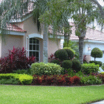 Simple Landscaping Ideas For Front Of House With Grass