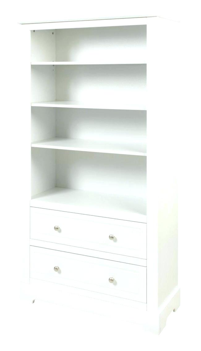 White Bookshelf With Doors On Bottom Bookcases Bookcase With Bottom