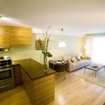 20 Best Small Open Plan Kitchen Living Room Design Ideas | Stan