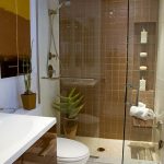 Small Luxury Bathroom Designs More