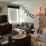 5 Studio Apartment Layouts that Work — Renters Solutions
