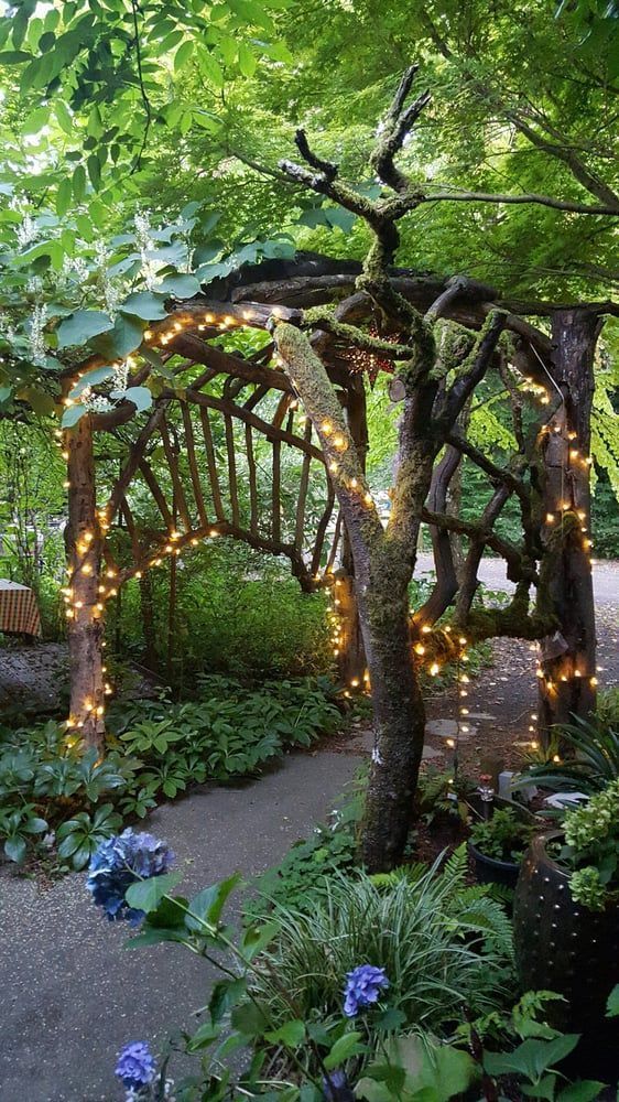 Ideas for making a fairy garden
  ideas  landscaping