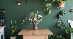 Embrace Nature: Boho Kitchen Ideas Infused with Plants