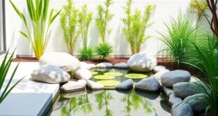 Transform Your Space: The Beauty of a Small Garden Pond