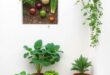 Transform Your Space: Creative Garden Designs for Vegetables
