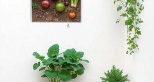 Transform Your Space: Creative Garden Designs for Vegetables