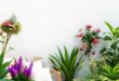 Transform Your Outdoor Space: A Comprehensive Guide to Spring Garden Setup