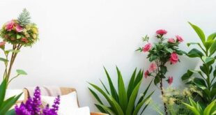 Transform Your Outdoor Space: A Comprehensive Guide to Spring Garden Setup