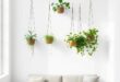 Transform Your Small Living Room: Embracing Vertical Space with Hanging Plants