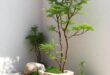 Transform Your Space: Inspiring Japanese Zen Garden Ideas for Serenity and Balance